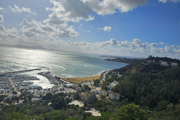 Excursión de un día a Cartago y Sidi Bou Said