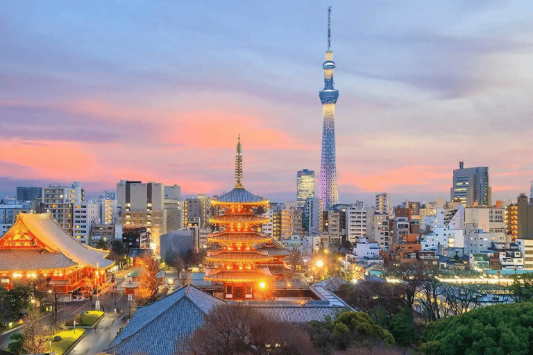 Tokio: Private Customizable Tour mit Transfer