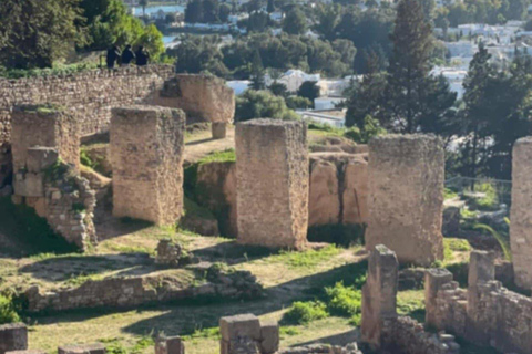 Tunis VIP Tour: Comfort, Fun & Best Value All-in-One !! Tunis : WITHOUT Pick-Up WITHOUT inclusions (Not Recommended)