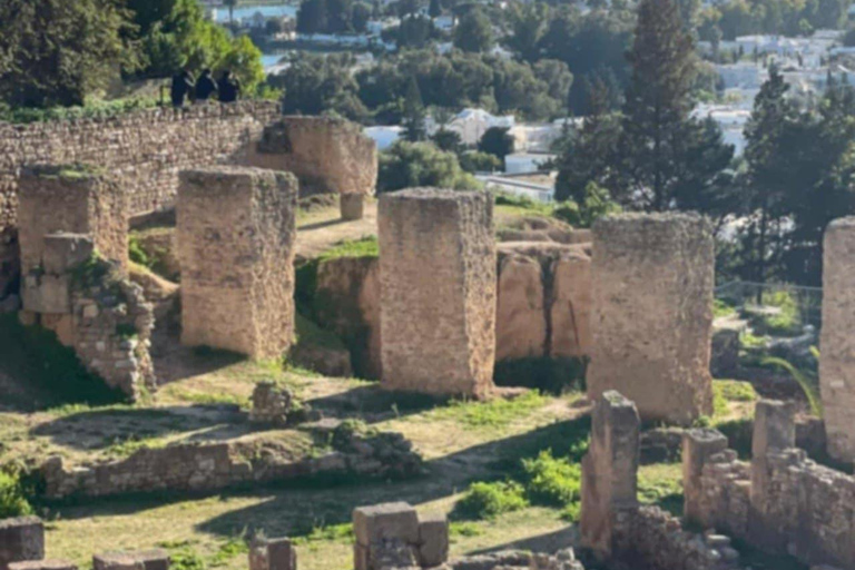 Tunis VIP Tour: Comfort, Fun & Best Value All-in-One !! Tunis : WITHOUT Pick-Up WITHOUT inclusions (Not Recommended)