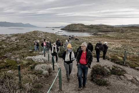 From Ushuaia: Beagle Channel Catamaran Cruise Morning Tour
