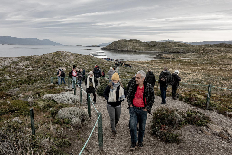 From Ushuaia: Beagle Channel Catamaran Cruise Morning Tour