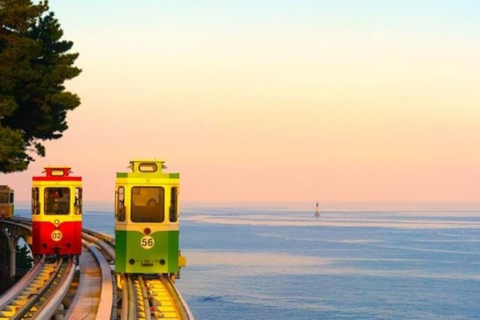 Busan: Customized Private Car Tour City Sights&Local Gems Pick-up anywhere in Busan