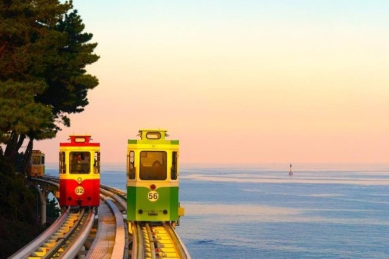 Busan: Customized Private Car Tour City Sights&Local Gems Pick-up anywhere in Busan