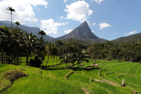 康提：米穆尔村一日游（含午餐及导览）康提：米穆尔村一日游（含午餐及导游服务）