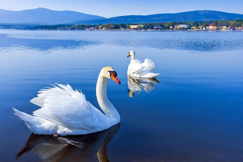 Mount Fuji Day Tour: Instagrammable Spots + Scenic Train From Tokyo (Including ropeway and cruise)