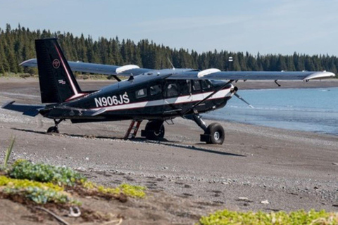 Bear Viewing Tour from Homer, Alaska