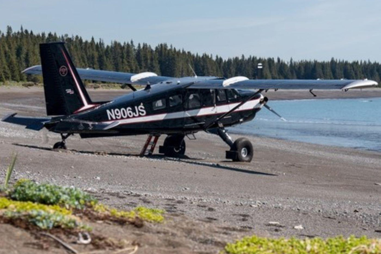 Bear Viewing Tour from Homer, Alaska