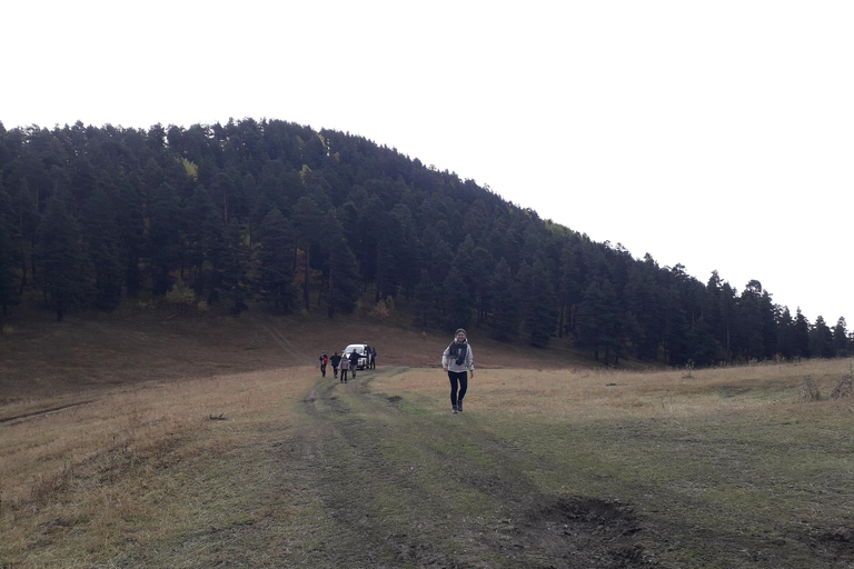 Tbilisi: 3-Day Tusheti 4x4 Jeep Tour with Guesthouse Stay