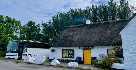 Belfast: Crosskeys Inn Irish Music and BBQ Night