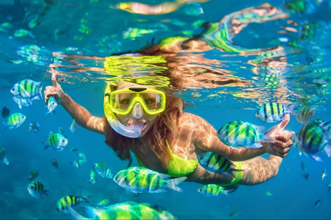 Phuket: Snorkling på Phi Phi &amp; Bamboo Islands med motorbåt