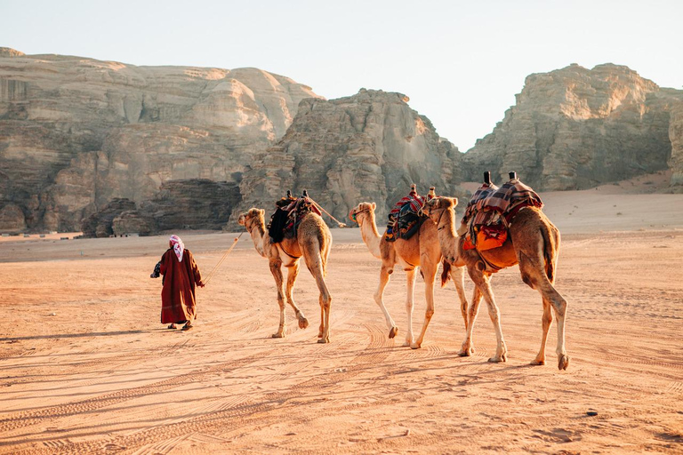 From Petra: Private Wadi Rum Tour with Hotel Pickup