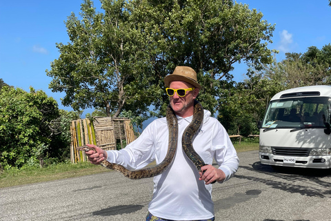 St. Lucia: Marigot Bay and Banana Plantation Tour