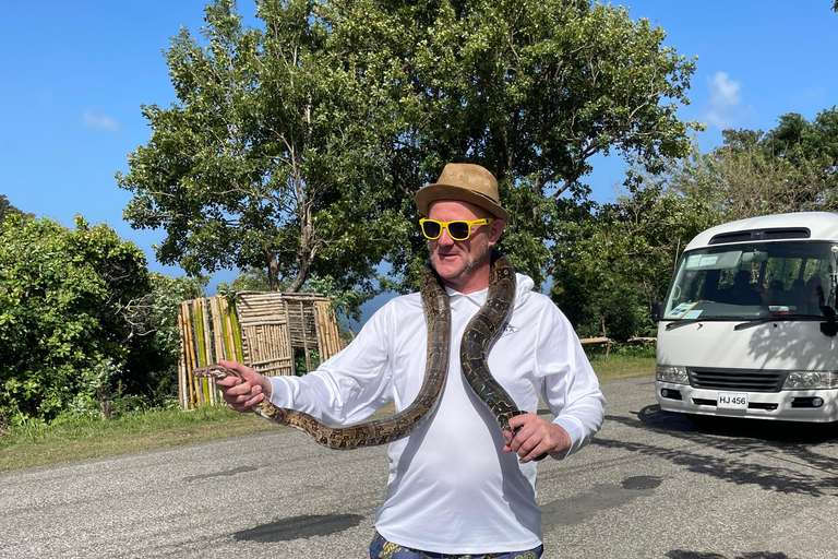 St. Lucia: Marigot Bay and Banana Plantation Tour