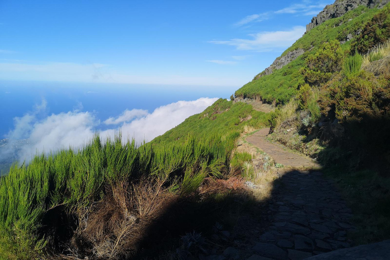 Funchal : randonnée au Pico Ruivo et à l&#039;Achada do Teixeira avec transfertFunchal : transfert pour randonnée au Pico Ruivo et à Achada do Teixeira