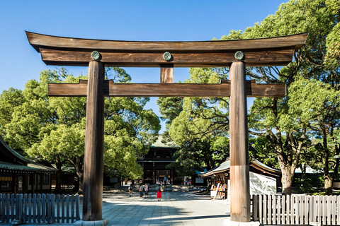 Best of Tokyo: Guided Full Day City Tour with Lunch