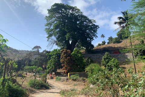 Assomada: Wycieczka piesza z przewodnikiem po dolinie Boa Entrada