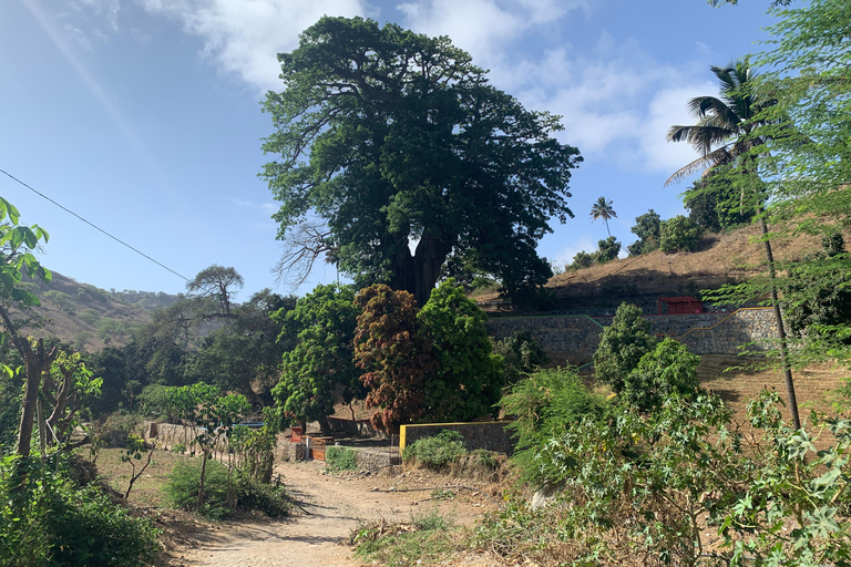 Assomada: Wycieczka piesza z przewodnikiem po dolinie Boa Entrada