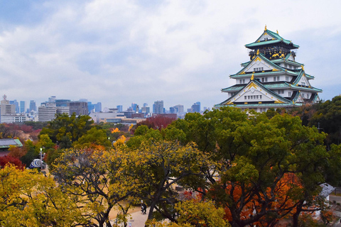Osaka: Osaka Castle & Samurai History Walking Tour Small Group Tour with Entrance fee