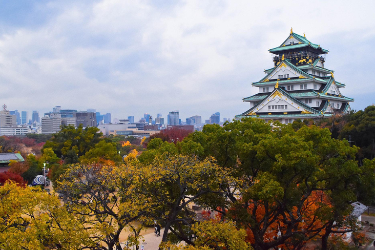 Osaka: Osaka Castle & Samurai History Walking Tour Small Group Tour with Entrance fee