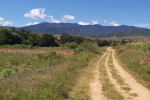 Cykeltur &quot;Las Nieves&quot; Monte Albán, Arrazola, Cuilapam 6 timmarOaxaca: &quot;Las Nieves&quot; halvdagsutflykt på cykel