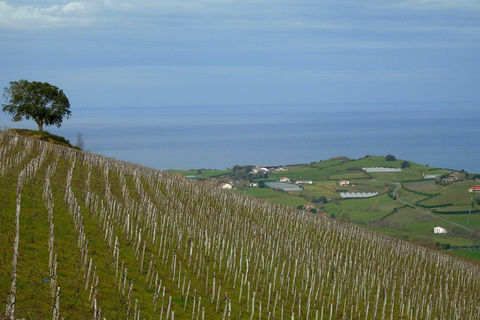 San Sebastián rural culture: vineyard visit and farm hiking