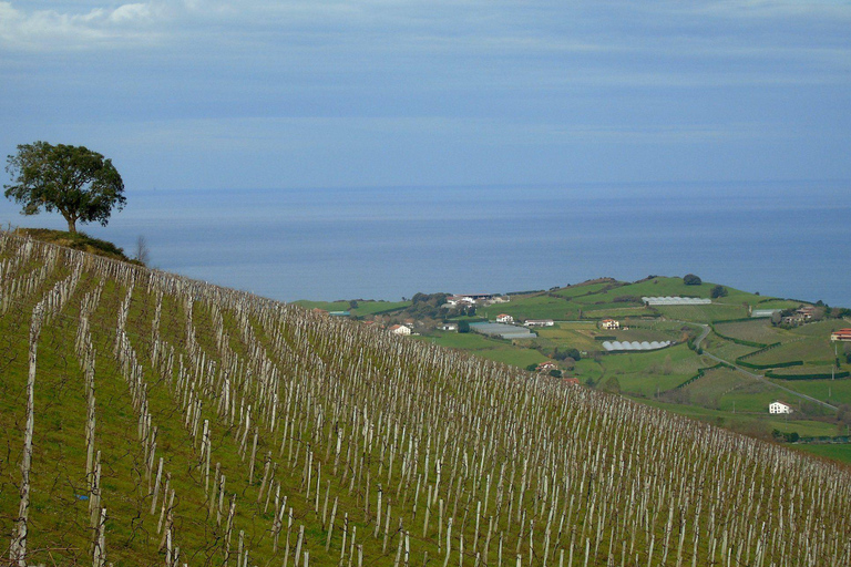 San Sebastián rural culture: vineyard visit and farm hiking