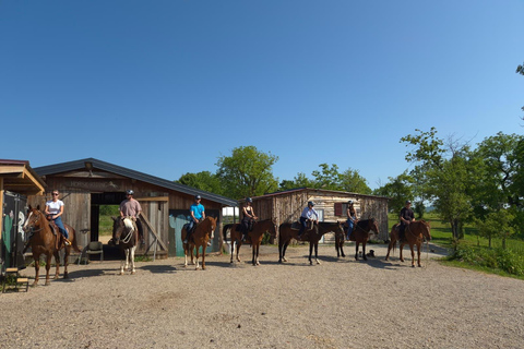 Plitvice: Horseback Riding Tour with Cave Entry Ticket Ride to Barać Caves (Half‑day Horseback Tour)