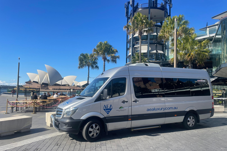 Sydney: Morgens Sightseeing Bus nach Bondi mit Lunch Cruise