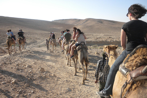 De Agadir: Passeio de camelo ao pôr do sol com jantar com churrasco e traslados