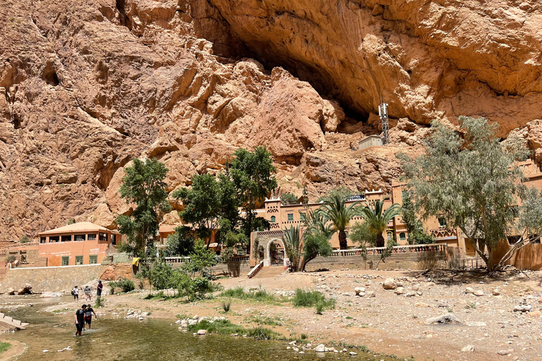 From Marrakech: 3-Day Desert Tour to Merzouga & Luxury Camp. From Marrakech: Premium 3-Day Tour & Luxury Camp.