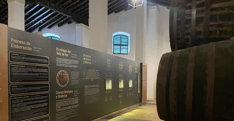 Visit a century-old winery in the centre of jerez