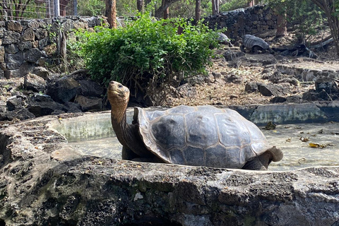 Galápagos : visite guidée de 5 jours avec hébergement