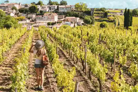 De Bordéus: Visita ao vinho de Saint-Emilion e Pomerol