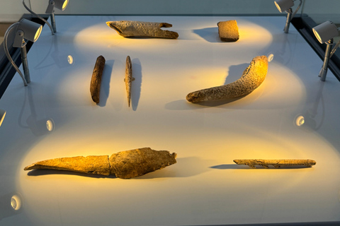 Excursion: Neocueva de Altamira | Santillana del Mar | Comillas Excursion: Altamira Cave | Santillana del Mar | Comillas