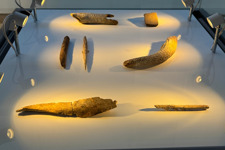 Excursion: Neocueva de Altamira | Santillana del Mar | Comillas Excursion: Altamira Cave | Santillana del Mar | Comillas