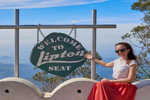 Ella : visite du Lipton&#039;s Seat, d&#039;une fabrique de thé et du bungalow d&#039;AdishamElla : siège de Lipton, usine de thé et bungalow Adisham