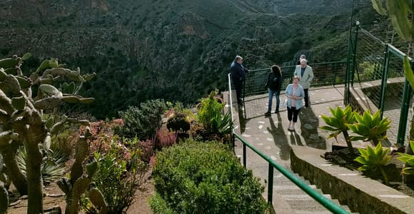 From Las Palmas: Half day tour with Wine Tasting