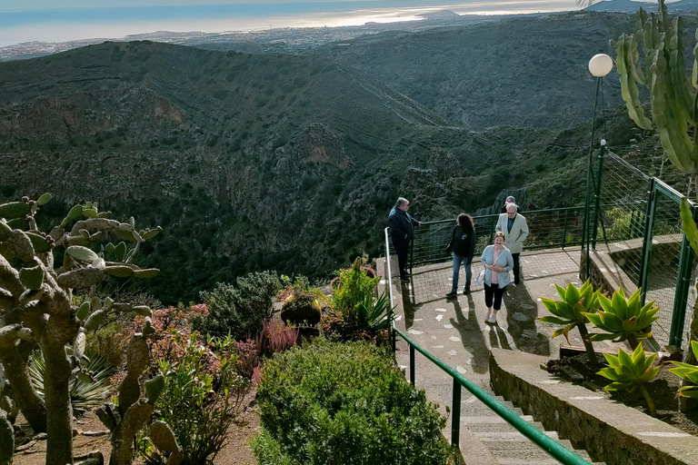 From Las Palmas: Half day tour Volcano Bandama & Vineyard