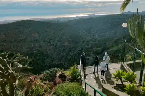 From Las Palmas: Half day tour Volcano Bandama & Vineyard