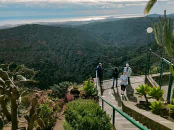 Da Las Palmas: Tour di mezza giornata Vulcano Bandama e Vigneto