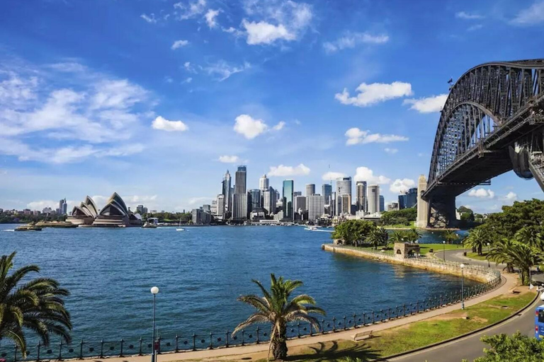 Sydney: Bondi Beach, Ópera y Visita Privada a la Ciudad de Sídney