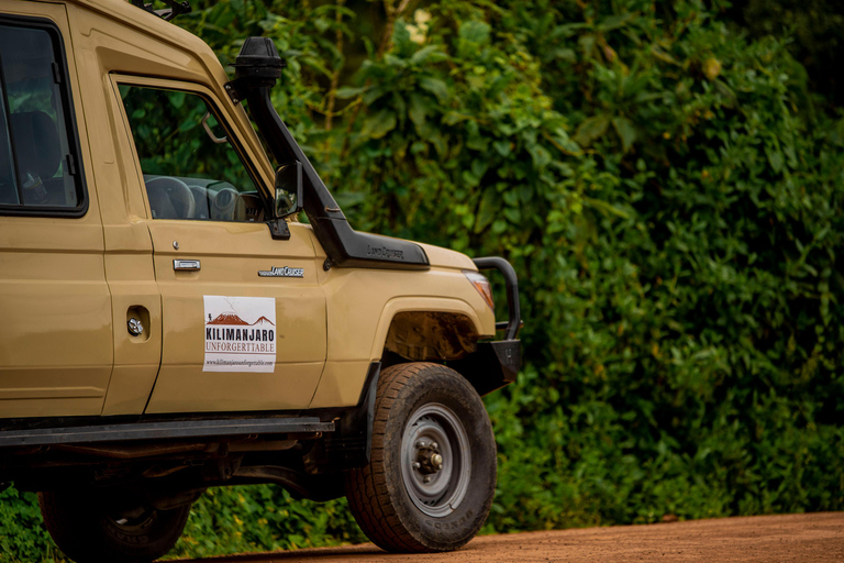 Au départ d'Arusha : excursion d'une journée au parc national du lac ManyaraDepuis Arusha : excursion d'une journée au parc national du lac Manyara