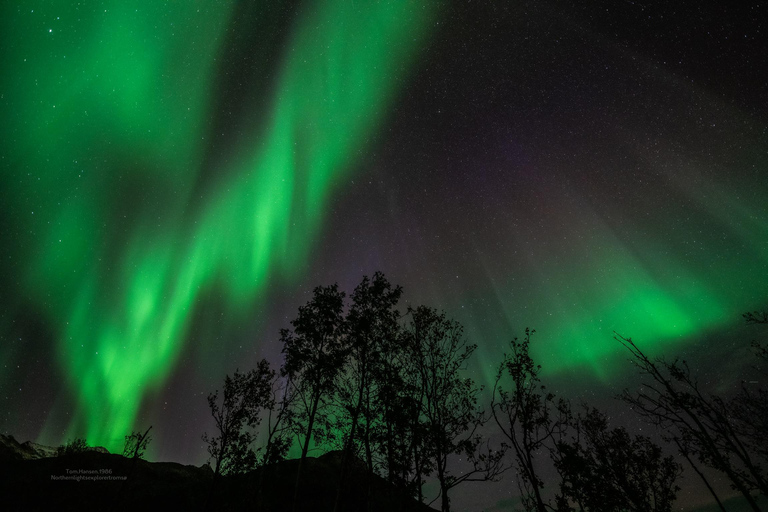 Tromsø:Northern Lights Tour with Photo and Suits.Local Guide Tromsø: Northern Lights Tour with Photos and Warm Suits