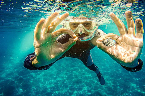 Privado: mergulho na Ilha Catalina com almoçoPrivado: Mergulho na Ilha Catalina com almoço