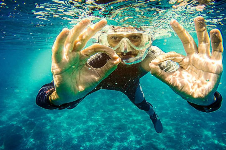 Privado: mergulho na Ilha Catalina com almoçoPrivado: Mergulho na Ilha Catalina com almoço