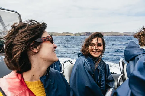 Desde Machico: Madeira Tour en barco para avistar ballenas y delfines