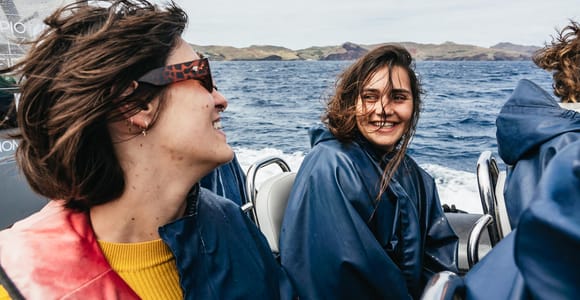 From Machico: Madeira Whale and Dolphin Watching Boat Tour