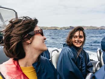 From Machico: Madeira Whale and Dolphin Watching Boat Tour