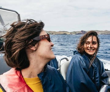 From Machico: Madeira Whale and Dolphin Watching Boat Tour